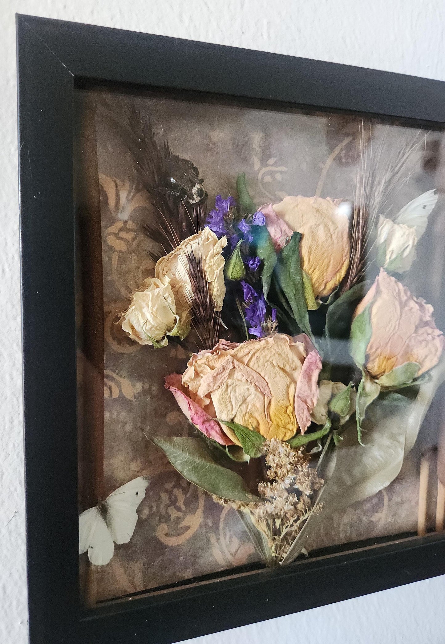 Dried Pinky Yellow Rose Shadowbox Art: Gothic Botanical Decor