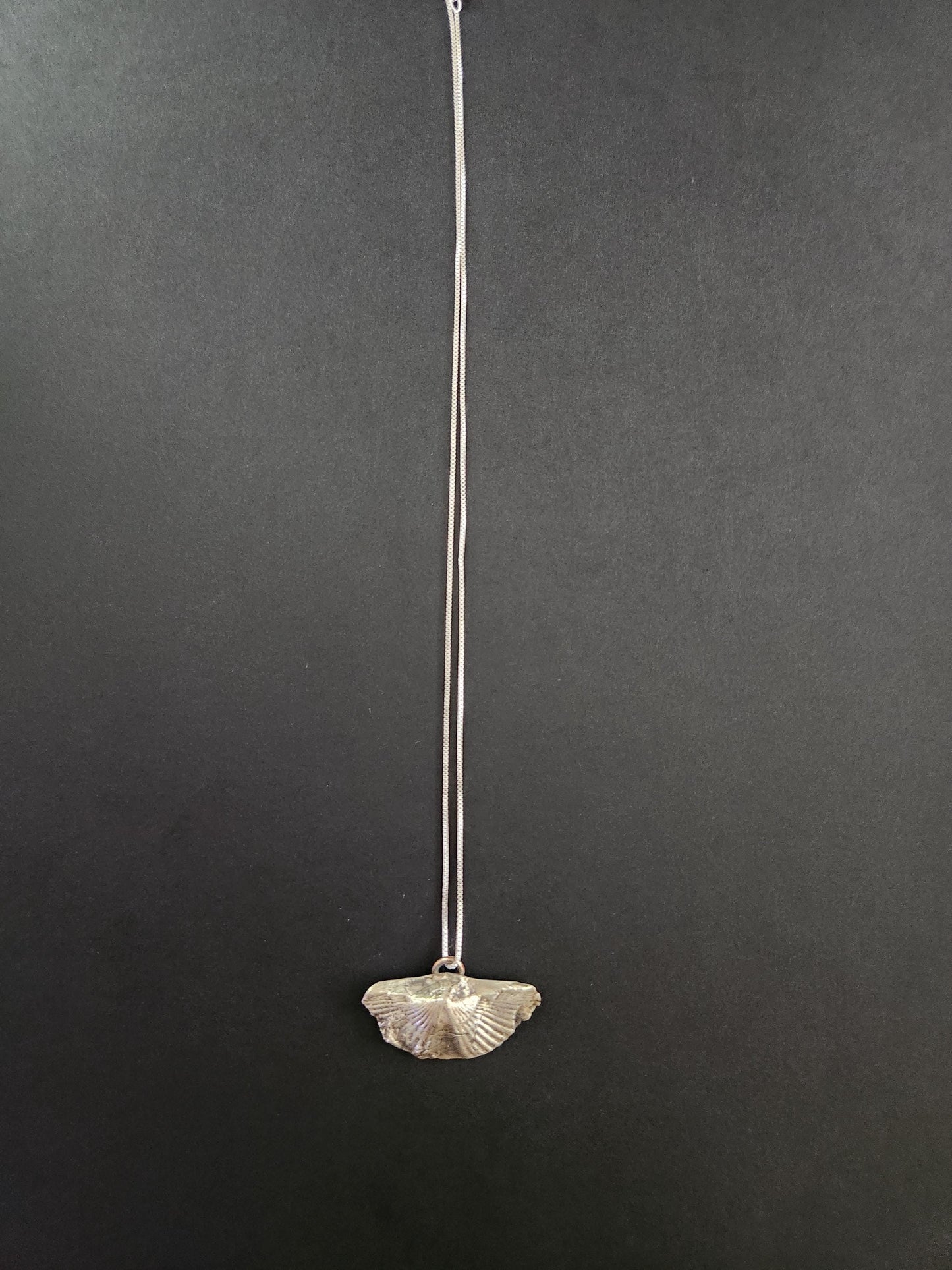 Fine Silver Brachiopod Fossil Pendant: Ancient Ocean Talisman