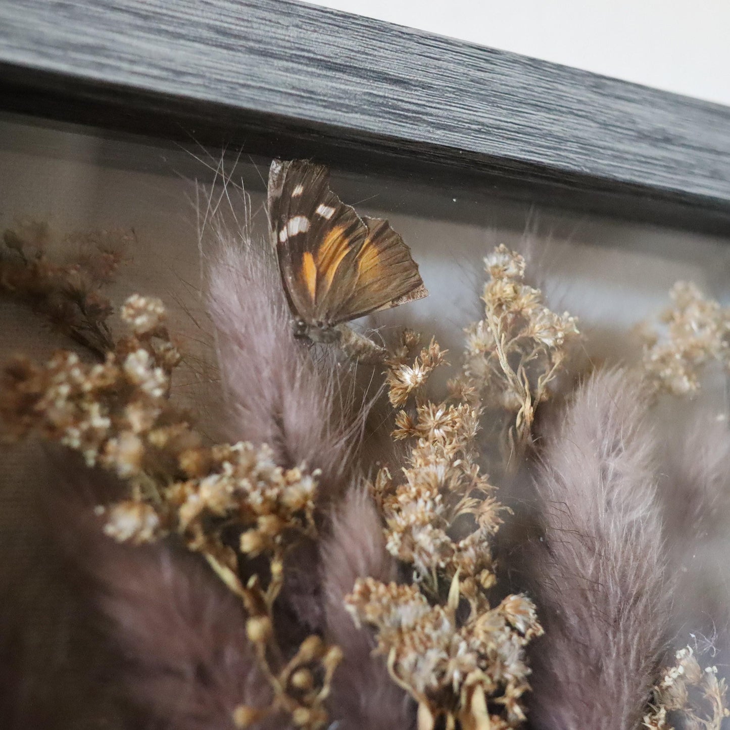Dried Greens Shadowbox Art: Gothic Botanical Display