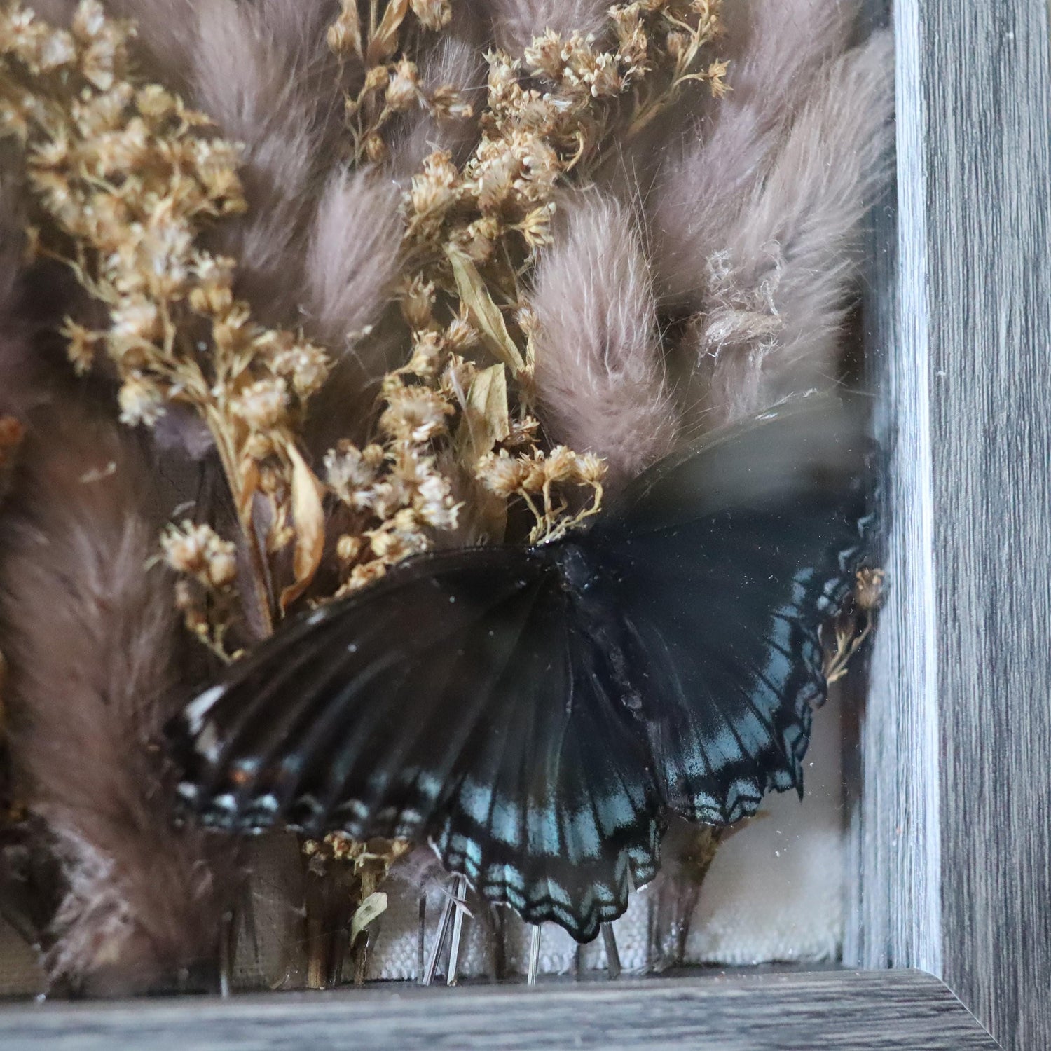 Dried Floral Arrangements