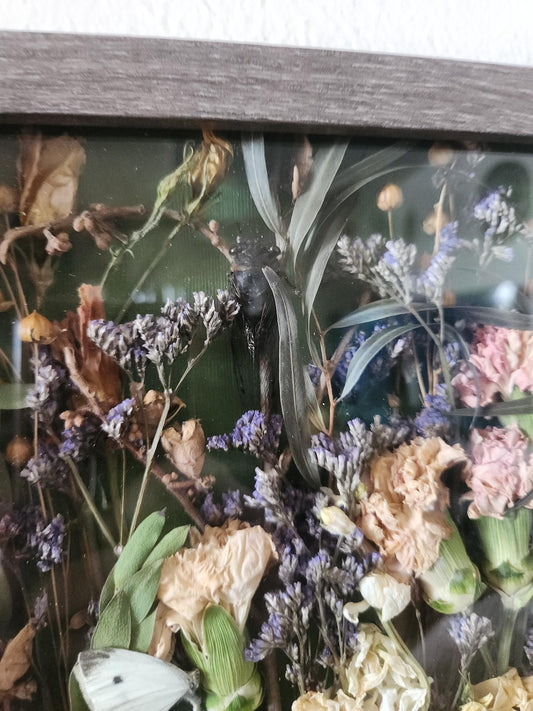 Real Moth and Dried Flower Shadow Box: Cottagecore Goth Wall Decor
