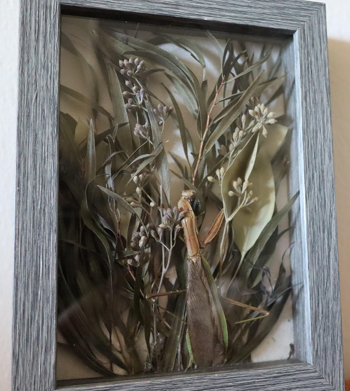 Dried greens, praying mantis Gothic Botanical Display