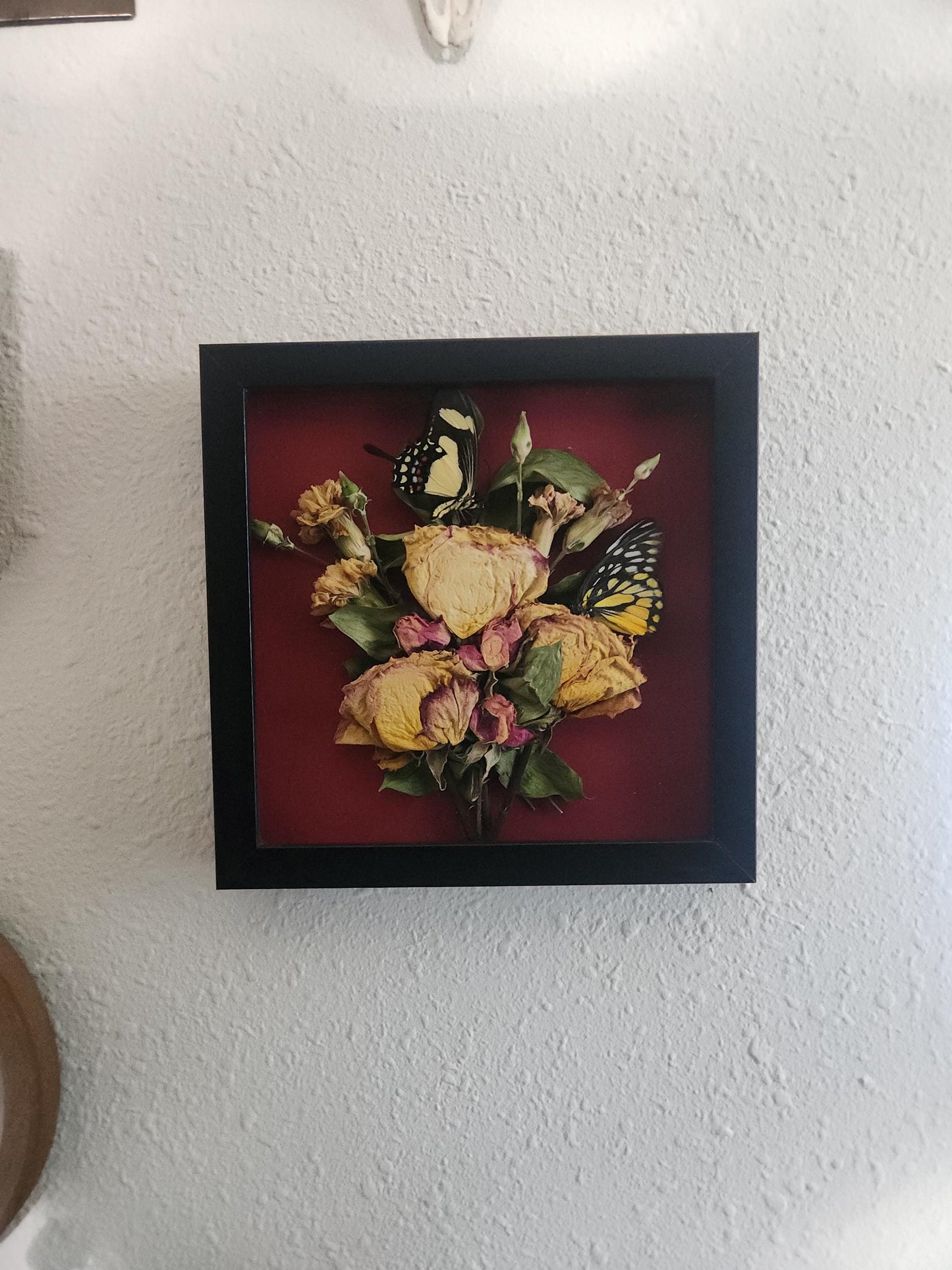 Dried Yellow Rose Shadowbox Art: Gothic Botanical Decor