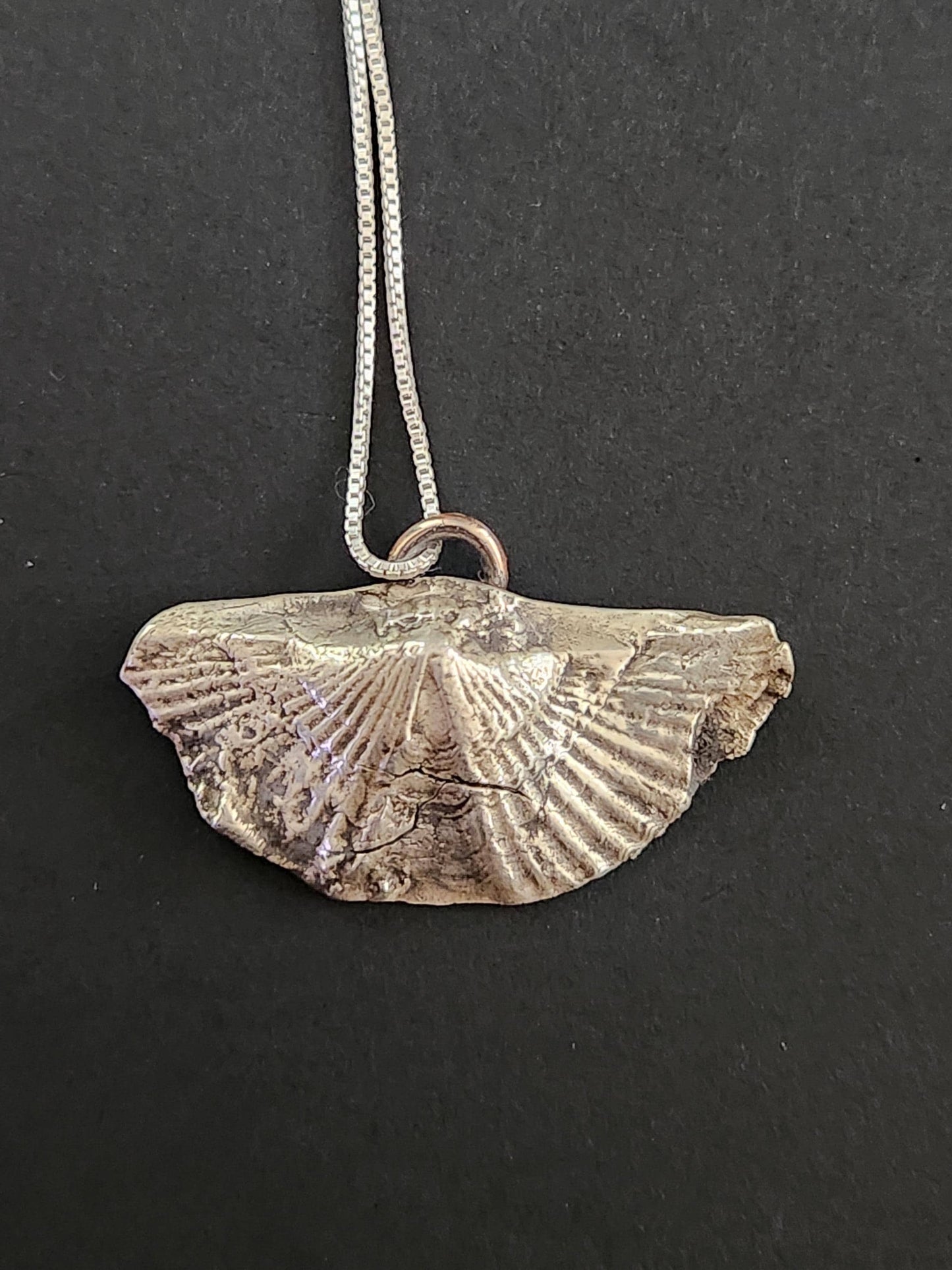 Fine Silver Brachiopod Fossil Pendant: Ancient Ocean Talisman