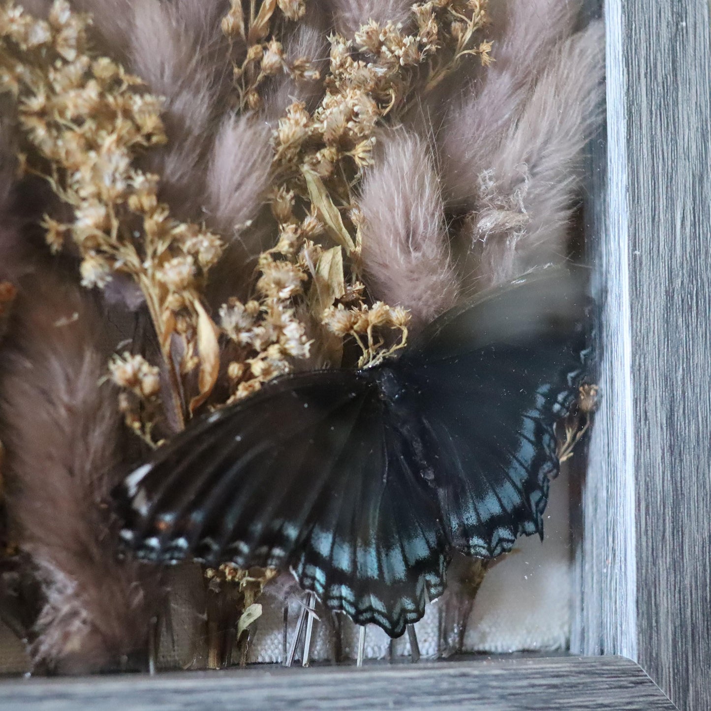 Dried Greens Shadowbox Art: Gothic Botanical Display