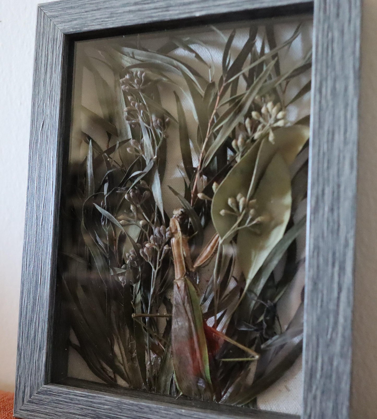 Dried greens, praying mantis Gothic Botanical Display