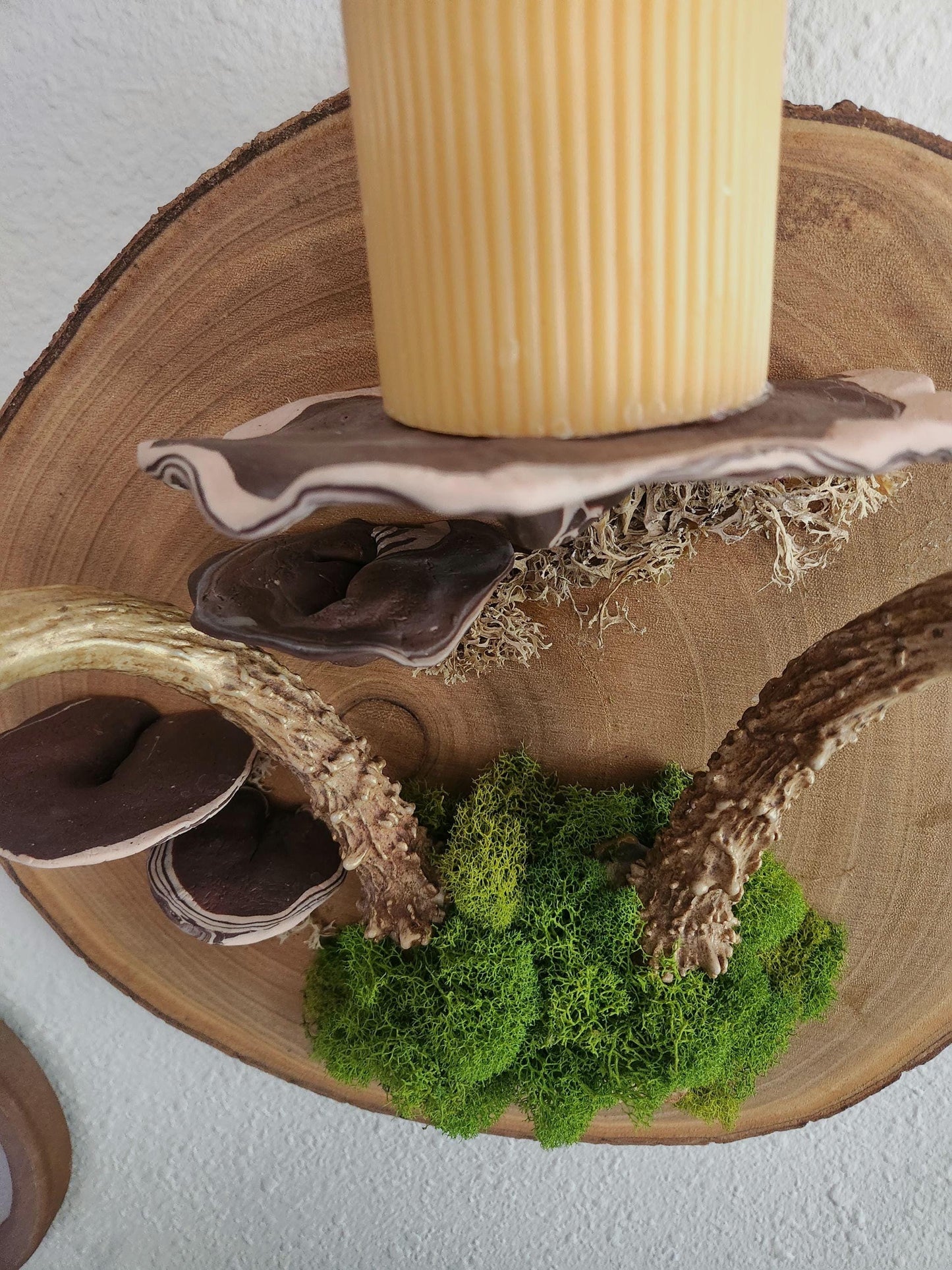 Rustic Forest Altar Wall Art | Antler, Moss & Fungi Candle Holder | Earthy Woodland Spiritual Decor