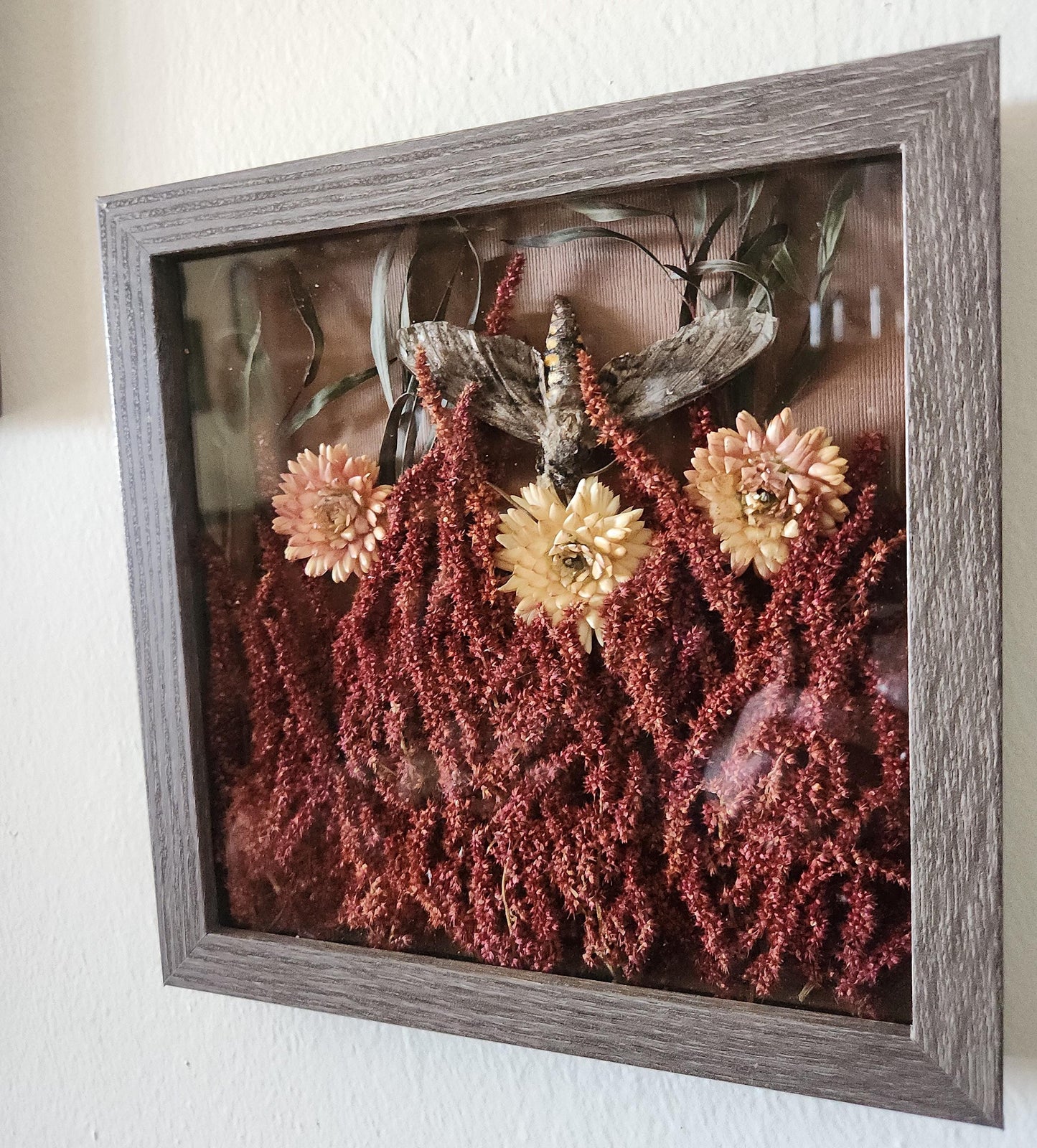 Dried Flower Shadow Box: Strawflower and Amaranth