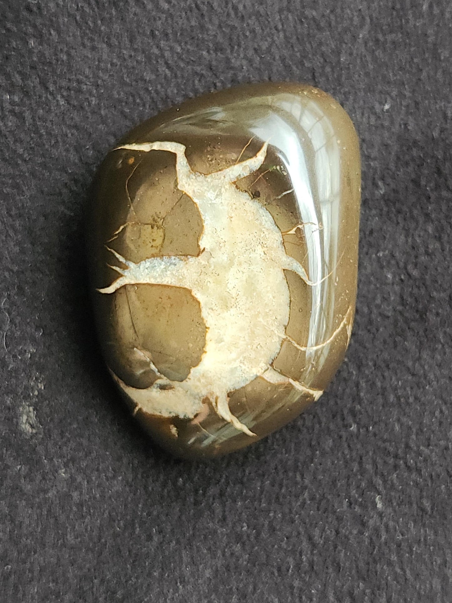 Septarian Nodule Hand Polished Stone – Dragon Stone of Healing, Communication & Earth Energy