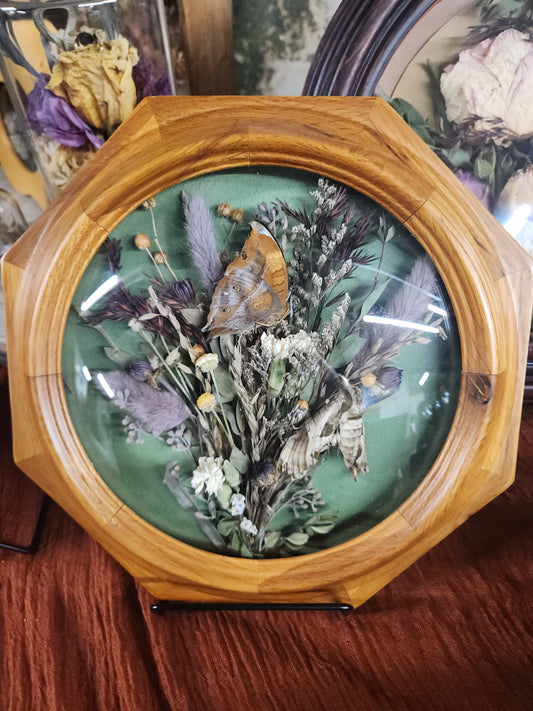 Dried Floral Shadow Box • Upcycled Antique Clock • Preserved Flowers • Preserved insects • Handmade Botanical Wall Art • Rustic Home Decor • Gift for any occasion