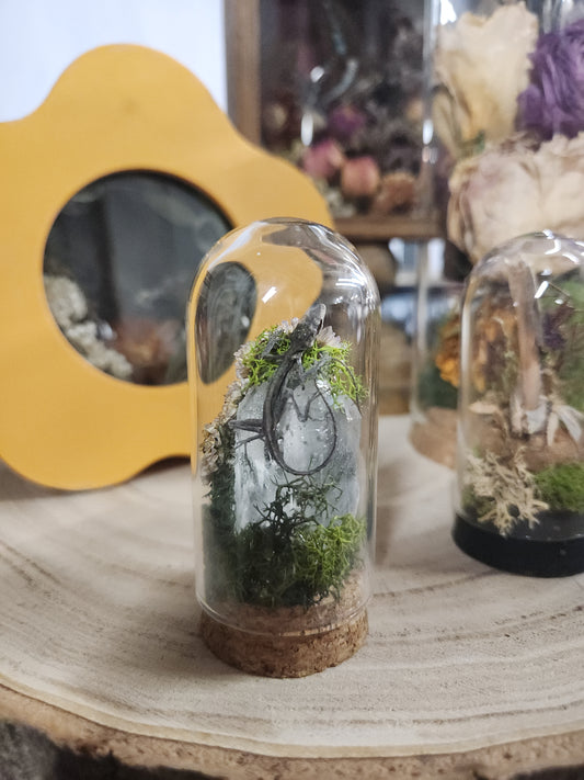Dried Floral Miniature Cloche • Preserved Flowers • Preserved Lizard • Handmade Botanical Art • Rustic Home Decor • Gift for any occasion