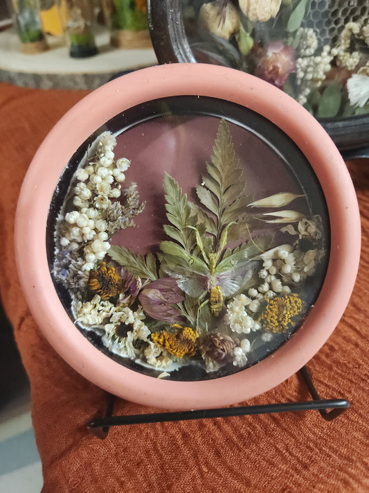 Dried Floral Shadow Box • Upcycled Clock • Preserved Flowers • Preserved insects • Handmade Botanical Wall Art • Rustic Home Decor • Gift for any occasion